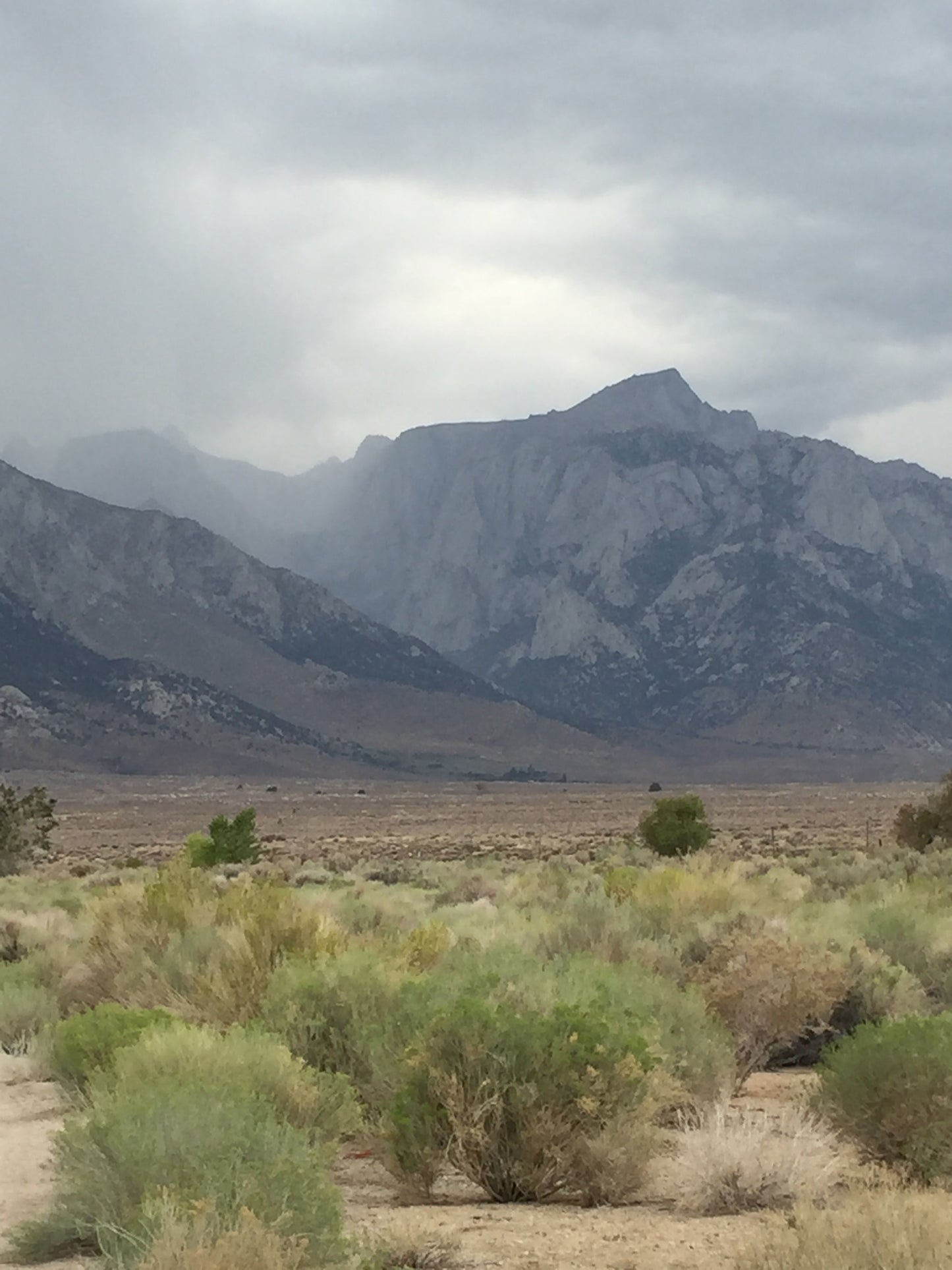 Tejon Ranch #3