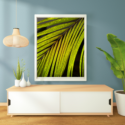 Palm Frond in Sun